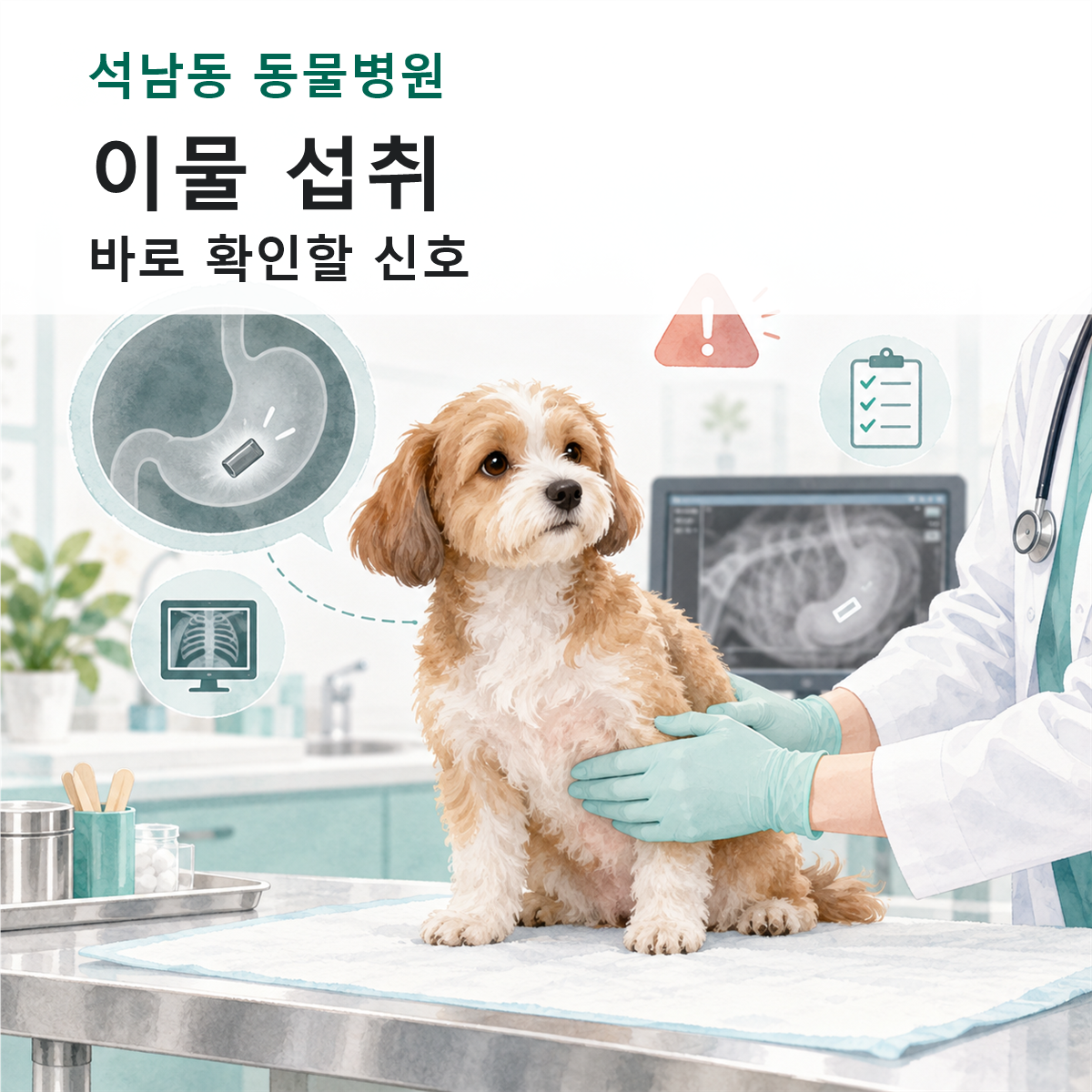 석남동 동물병원 강아지 이물 섭취 확인 컬러 일러스트